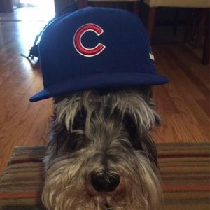 Meet your Posher, Ernie